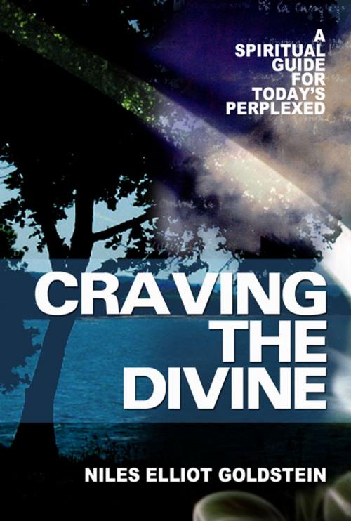 Cover of the book Craving the Divine: A Spiritual Guide for Today's Perplexed by Niles Elliot Goldstein, Paulist Press™