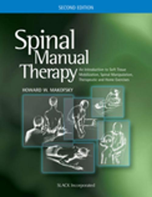 Cover of the book Spinal Manual Therapy by , SLACK Incorporated
