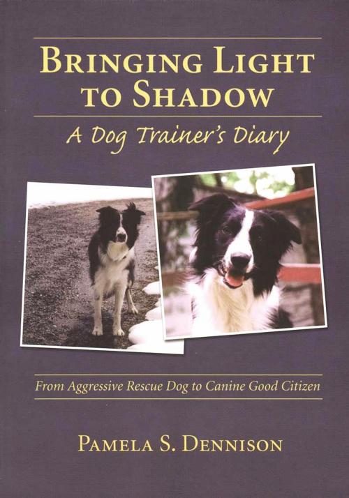 Cover of the book BRINGING LIGHT TO SHADOW by Pamela Dennison, Dogwise Publishing