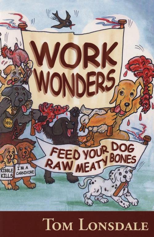 Cover of the book WORK WONDERS by Tom Lonsdale, Dogwise Publishing