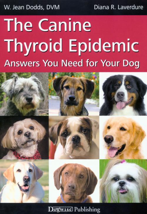 Cover of the book THE CANINE THYROID EPIDEMIC by W. Jean Dodds, Diana Laverdure, Dogwise Publishing
