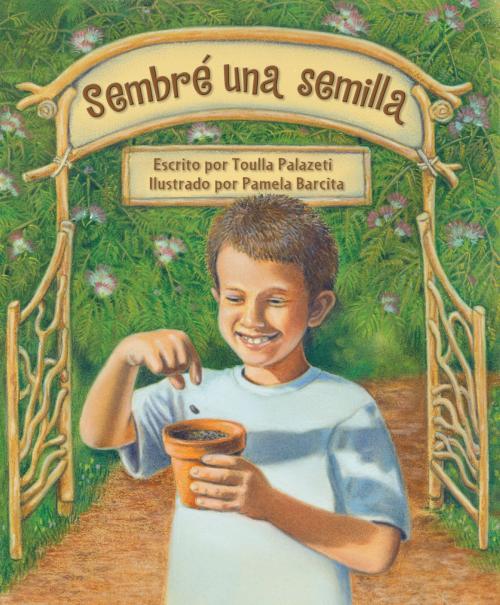 Cover of the book Sembré una semilla by Toula Palazeti, Raven Tree Press