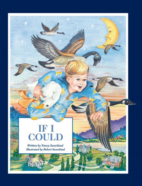 Cover of the book If I Could by Nancy Sweetland, Raven Tree Press