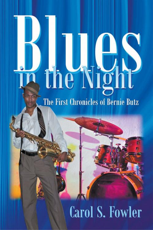 Cover of the book Blues in the Night by Carol S. Fowler, SBPRA