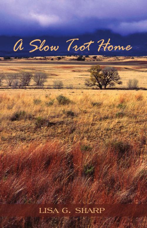 Cover of the book A Slow Trot Home by Lisa G. Sharp, Wheatmark
