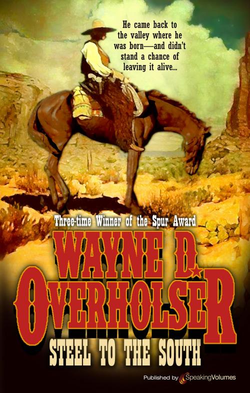 Cover of the book Steel to the South by Wayne D. Overholser, Speaking Volumes