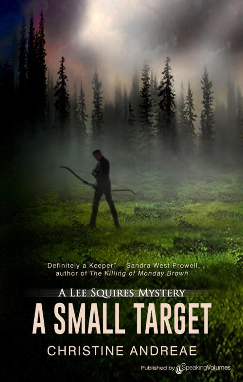 Cover of the book A Small Target by Christine Andreae, Speaking Volumes