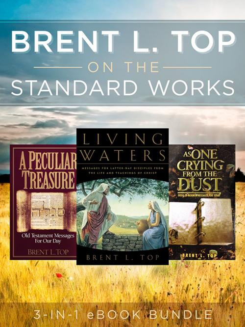 Cover of the book Brent L. Top on the Standard Works by Top, Brent L., Deseret Book Company