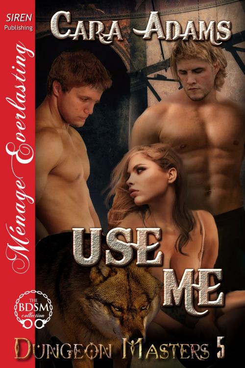 Cover of the book Use Me by Cara Adams, Siren-BookStrand