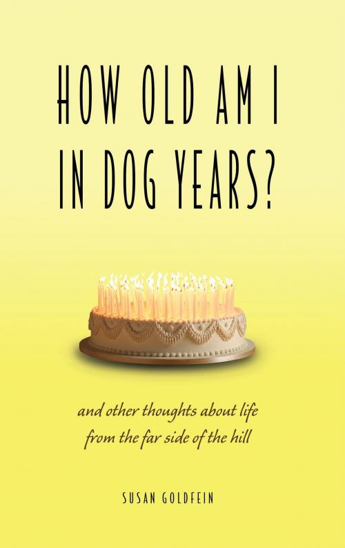 Cover of the book How Old Am I in Dog Years? by Susan Goldfein, Two Harbors Press