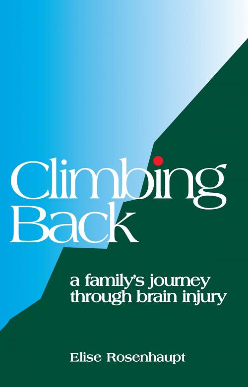Cover of the book Climbing Back by Elise Rosenhaupt, Publish Green