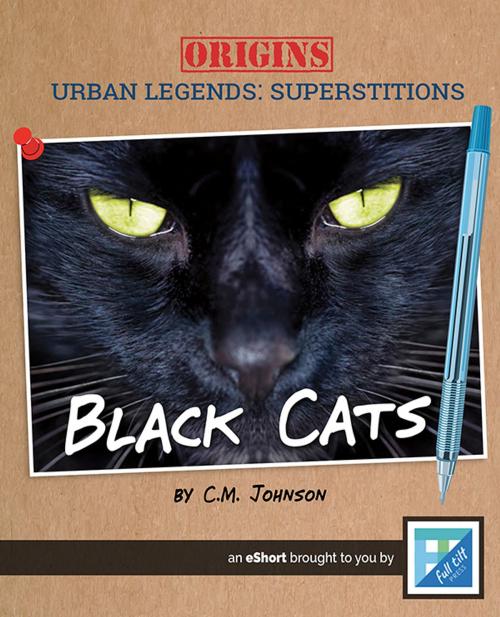 Cover of the book Black Cats by C.M. Johnson, Triangle Interactive, LLC.