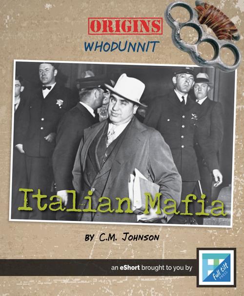 Cover of the book The Italian Mafia by C.M. Johnson, Triangle Interactive, LLC.