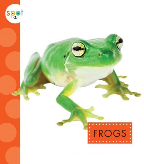 Cover of the book Frogs by Marysa Storm, Triangle Interactive, LLC.