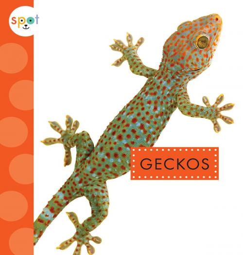 Cover of the book Geckos by Rachel Bach, Triangle Interactive, LLC.