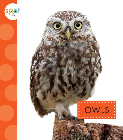 Cover of the book Owls by Wendy Strobel Dieker, Triangle Interactive, LLC.