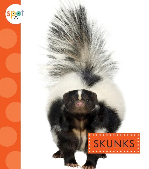 Cover of the book Skunks by Wendy Strobel Dieker, Triangle Interactive, LLC.
