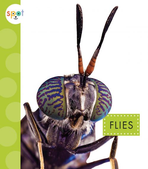 Cover of the book Flies by Nessa Black, Triangle Interactive, LLC.