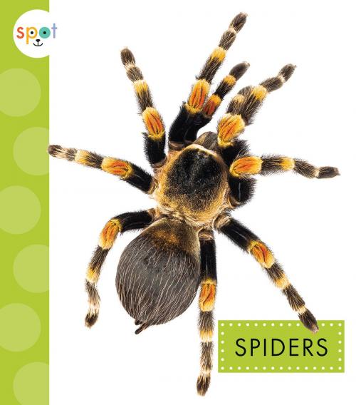 Cover of the book Spiders by Nessa Black, Triangle Interactive, LLC.