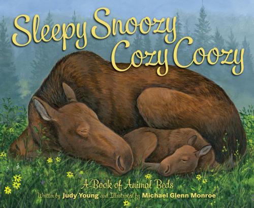 Cover of the book Sleepy Snoozy Cozy Coozy: A Book of Animal Beds by Judy Young, Triangle Interactive, LLC.