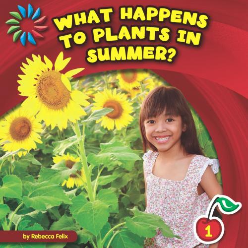 Cover of the book What Happens to Plants in Summer? by Rebecca Felix, Triangle Interactive, LLC.