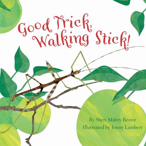 Cover of the book Good Trick, Walking Stick! by Sheri M. Bestor, Triangle Interactive, LLC.