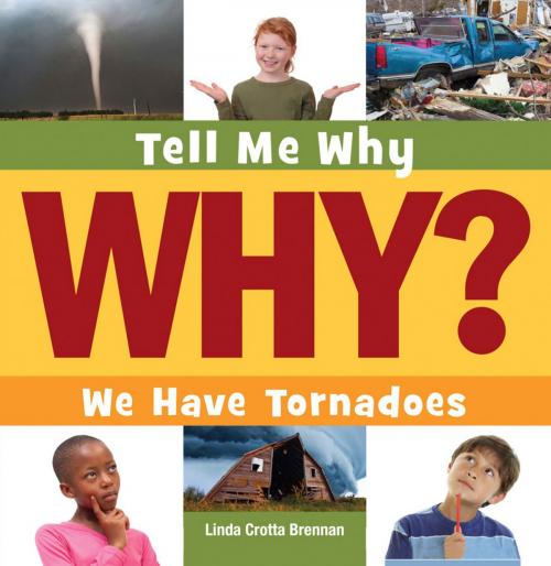 Cover of the book We Have Tornadoes by Linda Crotta Brennan, Triangle Interactive, LLC.