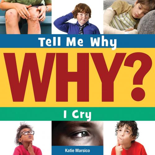 Cover of the book I Cry by Katie Marsico, Triangle Interactive, LLC.