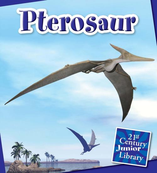 Cover of the book Pterosaur by Jennifer Zeiger, Triangle Interactive, LLC.