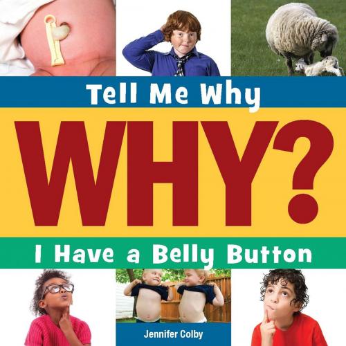 Cover of the book I Have a Bellybutton by Jennifer Colby, Triangle Interactive, LLC.