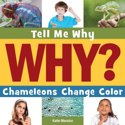 Cover of the book Chameleons Change Color by Katie Marsico, Triangle Interactive, LLC.