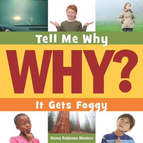 Cover of the book It Gets Foggy by Nancy Robinson Masters, Triangle Interactive, LLC.