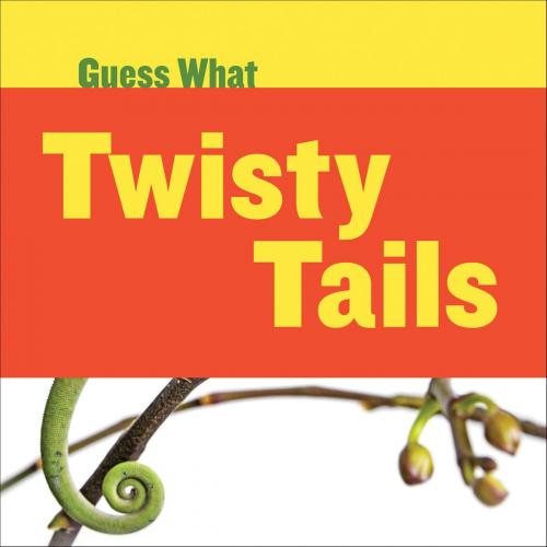 Cover of the book Twisty Tails: Chameleon by Kelly Calhoun, Triangle Interactive, LLC.
