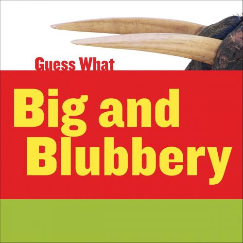 Cover of the book Big and Blubbery: Walrus by Felicia Macheske, Triangle Interactive, LLC.