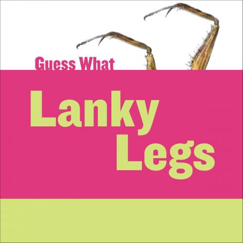 Cover of the book Lanky Legs: Praying Mantis by Felicia Macheske, Triangle Interactive, LLC.