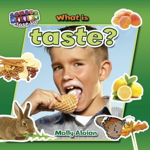 Cover of the book What is taste? by Molly Aloian, Triangle Interactive, LLC.