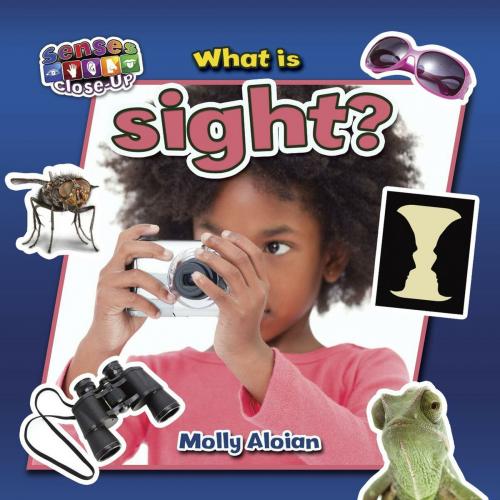 Cover of the book What is sight? by Molly Aloian, Triangle Interactive, LLC.