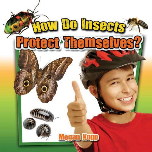 Cover of the book How Do Insects Protect Themselves? by Megan Kopp, Triangle Interactive, LLC.