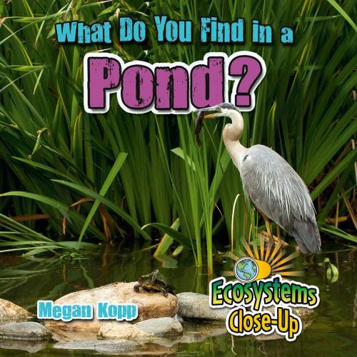 Cover of the book What Do You Find in a Pond? by Megan Kopp, Triangle Interactive, LLC.
