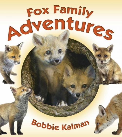 Cover of the book Fox Family Adventures by Bobbie Kalman, Triangle Interactive, LLC.
