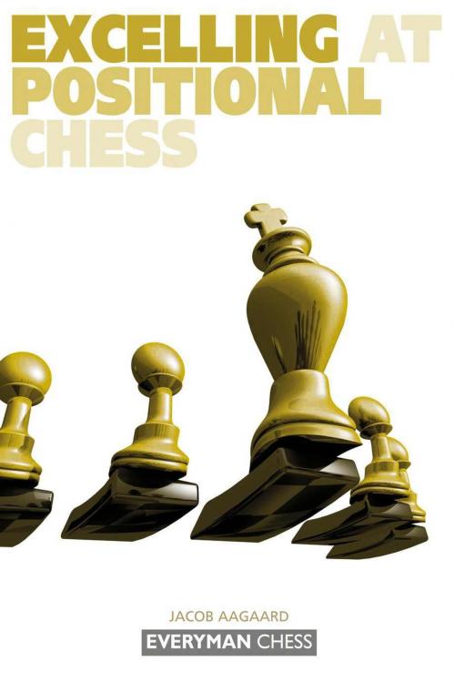 Cover of the book Excelling at Positional Chess by Jacob Aagaard, Gloucester Publishers
