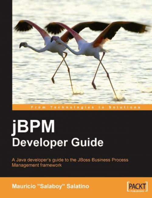 Cover of the book jBPM Developer Guide by Mauricio Salatino, Packt Publishing