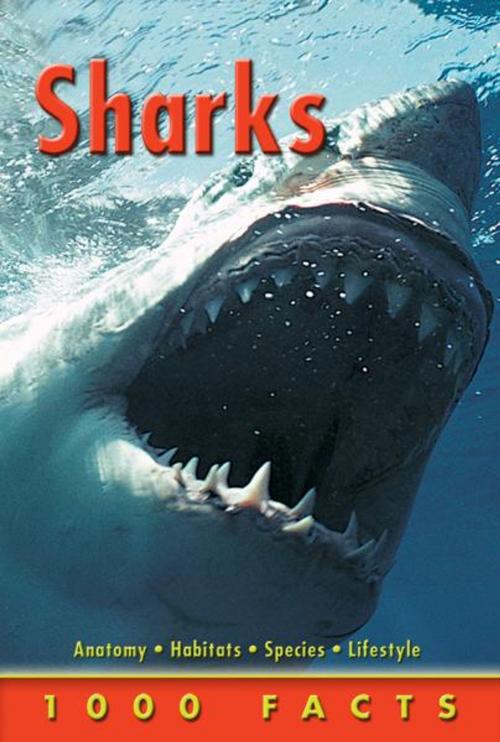 Cover of the book 1000 Facts Sharks by , Miles Kelly Publishing