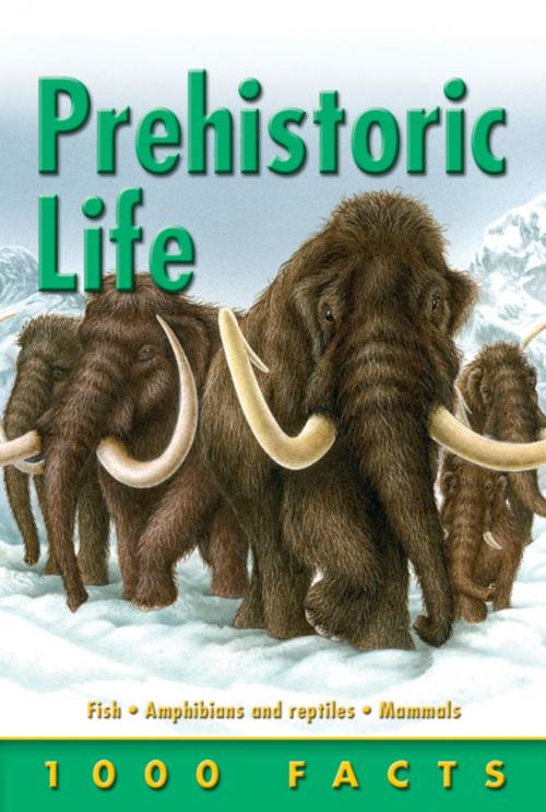 Cover of the book 1000 Facts Prehistoric Life by Andrew Campbell, Miles Kelly Publishing
