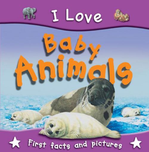 Cover of the book I Love Baby Animals by , Miles Kelly Publishing