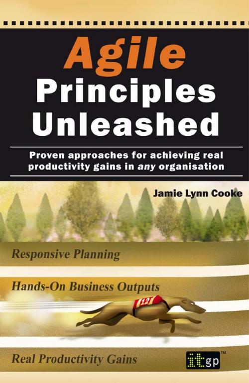 Cover of the book Agile Principles Unleashed by Jamie Lynn Cooke, IT Governance Publishing