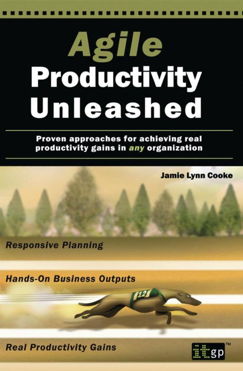 Cover of the book Agile Productivity Unleashed by Jamie Lynn Cooke, IT Governance Publishing