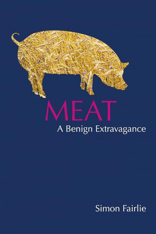 Cover of the book Meat by Simon Fairlie, Permanent Publications