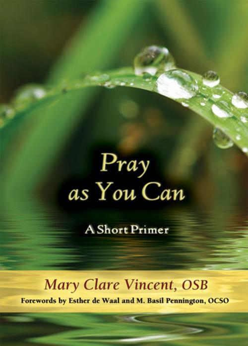 Cover of the book Pray as You Can: A Short Primer by Mary Clare Vincent, OSB; forewords by Esther de Waal and M. Basil Pennington, OCSO, Paulist Press™