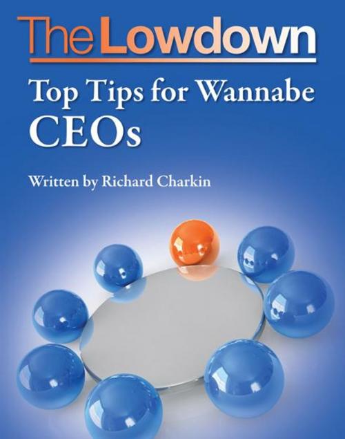 Cover of the book The Lowdown: Top Tips for Wannabe CEOs by Richard Charkin, Creative Content Ltd